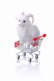 Model ram in shopping cart isolated on white