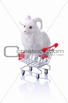 Model ram in shopping cart isolated on white