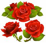 Red roses set