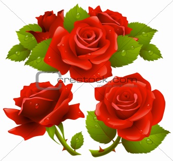 Red roses set