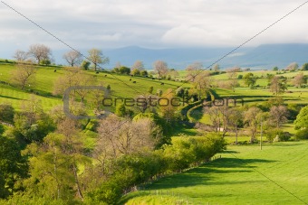 Landscape in Yorkshire Dales