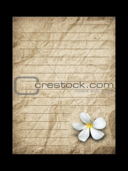 white flower and old grunge letter paper