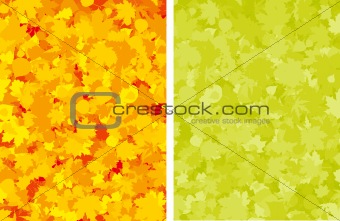 Autumn colorful maple leaves.