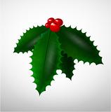 Christmas mistletoe illustration