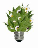 Light bulb with flowers and leaves