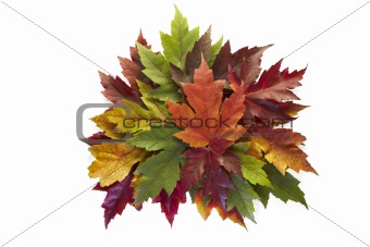 Maple Leaves Mixed Fall Colors Autumn Wreath