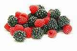 blackberry and raspberry 