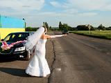 Bride hitch-hiking at the road