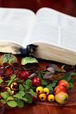 Autumn arrangement and the Bible