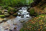 autumn stream