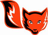 Red Fox tail icon