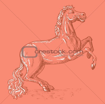 Horse sketch drawing prancing