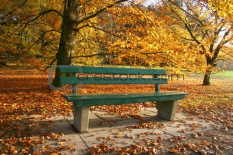 Bench in an autumnal park