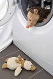 Toy Hedgehog in Washing Machine With Duck