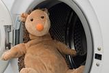Toy Hedgehog in Washing Machine