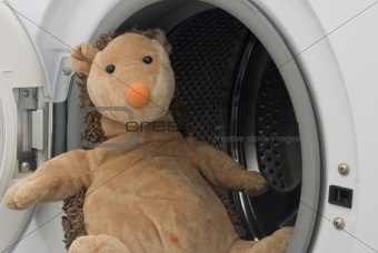 Toy Hedgehog in Washing Machine