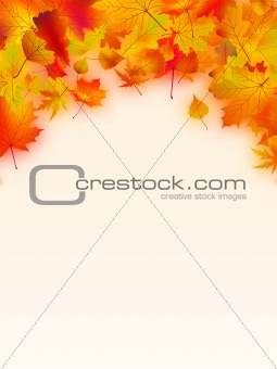 Vivid autumnal leaves frame for your text.