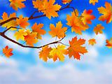 Beautiful Autumn Background against clue sky.