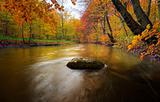 Autumn river
