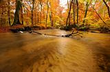 Autumn river