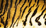 Imitation of tiger leather as a background