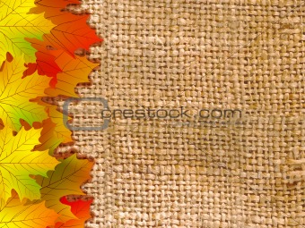 Thank You Card With A Leaves Background