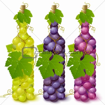 Vine grape bottles