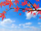 Japanese autumn.