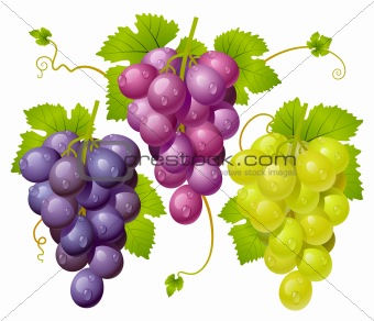 Three cluster of grapes