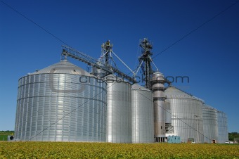 Grain Cooperative