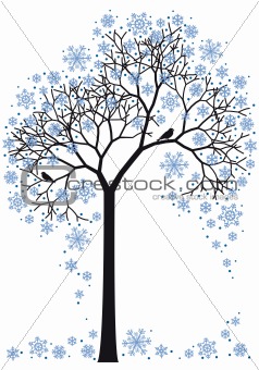 winter tree, vector