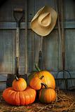 Garden tools in shed with pumpkins