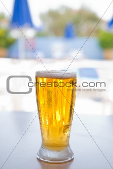 Fresh and cold foamy beer