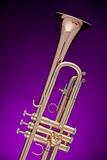 Trumpet Gold Isolated on Purple