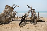 Forgotten bicycles by the dead sea