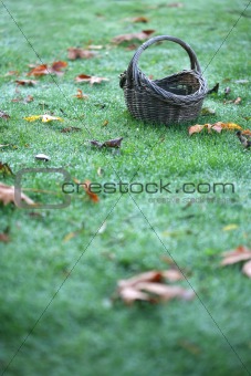 Empty Basket On Grass With Leaves