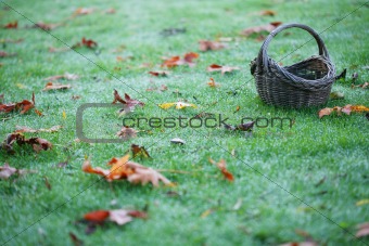 Empty Basket On Grass With Leaves Horizontal