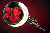French Horn and Poinsettia Isolated