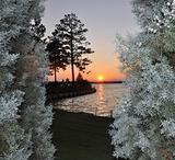 Sunset Over Lake with Trees