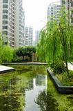 Central garden in a new residential district