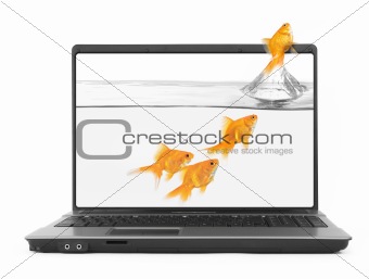 goldfish jumping out of the notebook
