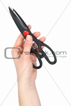Hand holding kitchen scissors