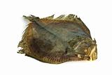 Dried flatfish