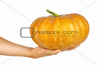 Hand holding orange pumpkin