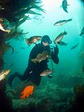 Underwater Photographer surrounded by fish in Catalina