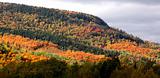 Gorgeous Fall Mountainside Colors