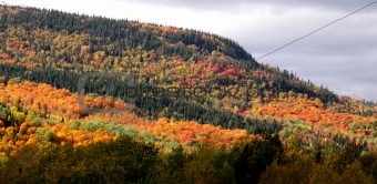 Gorgeous Fall Mountainside Colors
