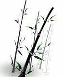 vector bamboo