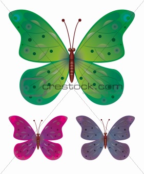 Collection of butterflies in the vector EPS10