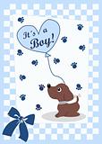 newborn baby boy card